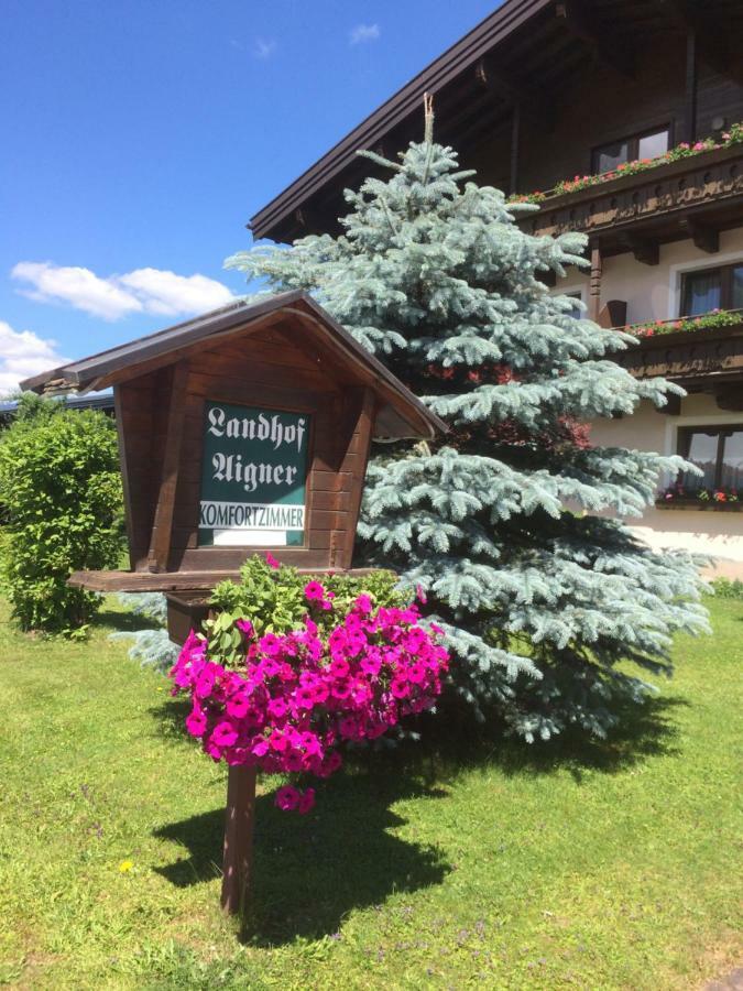 Landhof Aigner Hotell Mittersill Exteriör bild